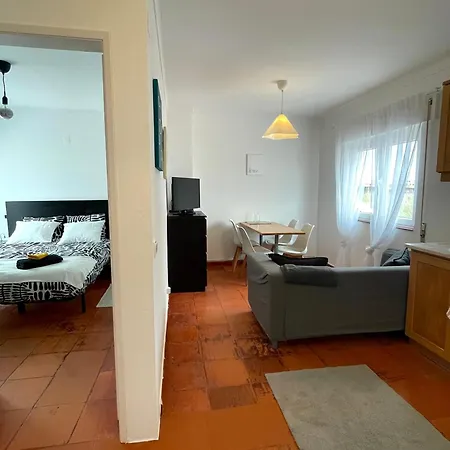 Sardine Sanctuary - The Cozy * فيريل